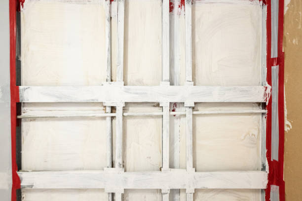 Best Airborne Mold Testing  in Plant City, FL