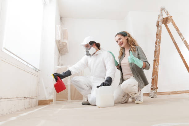 Plant City, FL Mold Removal Company